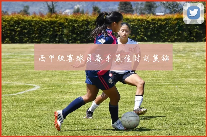 西甲联赛球员赛季最佳时刻集锦